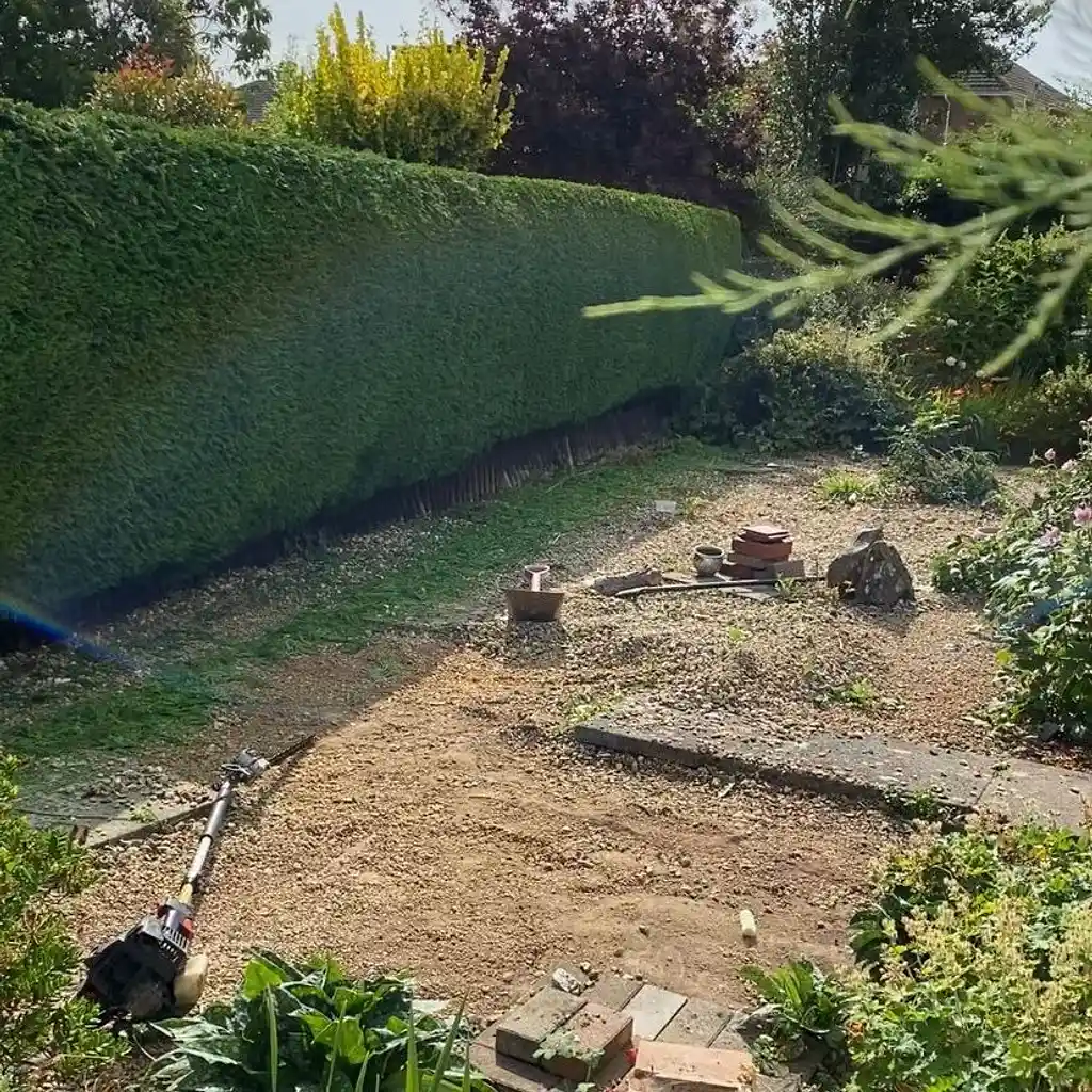 Gallery Image 12